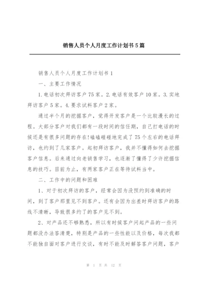 销售人员个人月度工作计划书5篇.docx