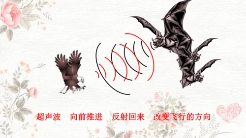 6夜间飞行的秘密  课件