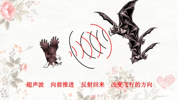 6夜间飞行的秘密  课件