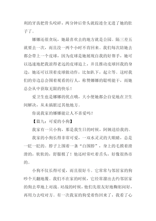 关于小狗的作文350字.docx