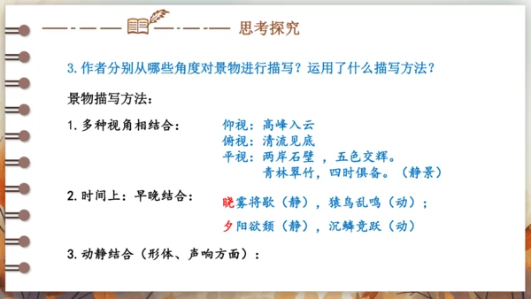 11 短文二篇 课件-2024-2025学年语文部编版八年级上册