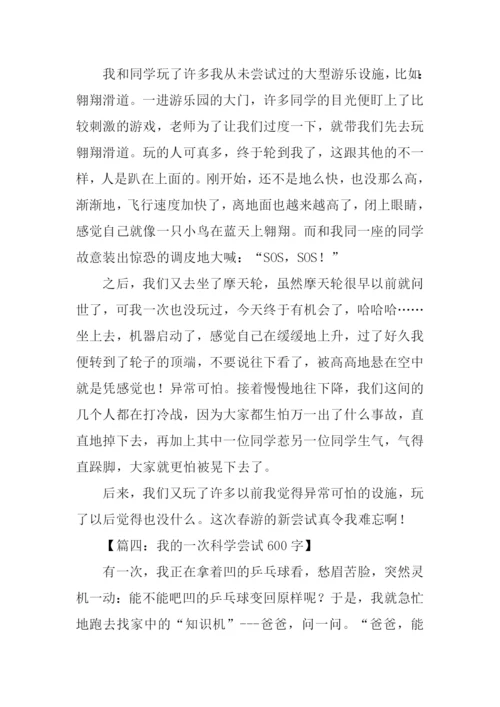 一次的尝试作文-1.docx