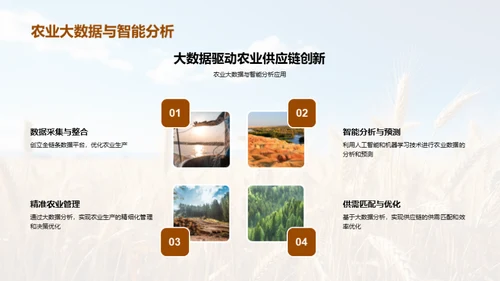农业供应链的创新与优化