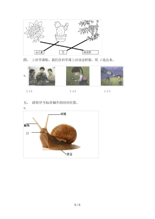 2021年教科版一年级科学上册期末考试卷及答案(1)