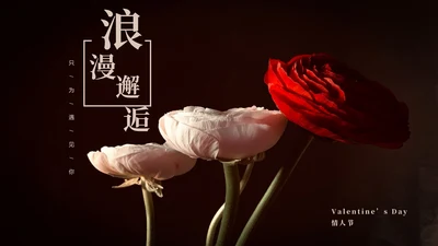 黑色简约风浪漫邂逅情人节PPT模板