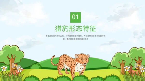 猎豹动物知识普及通用PPT模板