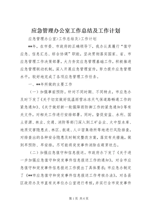 应急管理办公室工作总结及工作计划 (3).docx