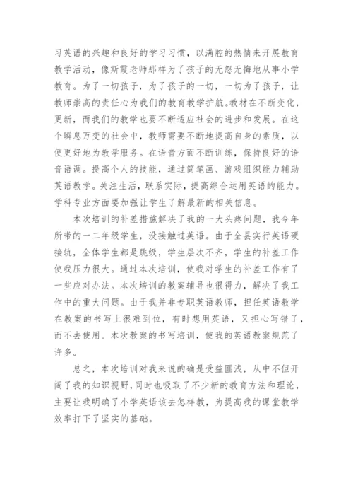 小学教师网络培训心得体会.docx