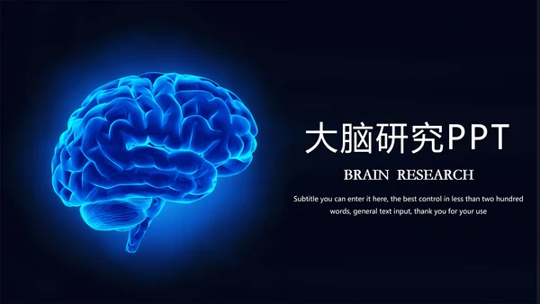 大脑研究健康医疗医学ppt模板