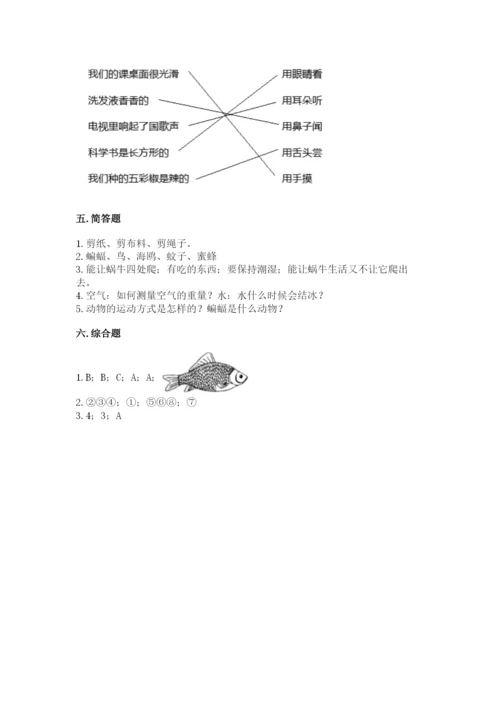 教科版一年级下册科学期末测试卷【典优】.docx