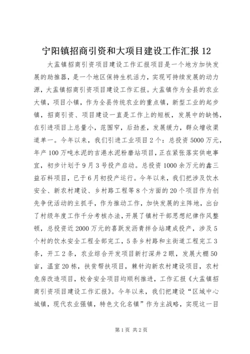 宁阳镇招商引资和大项目建设工作汇报12 (2).docx