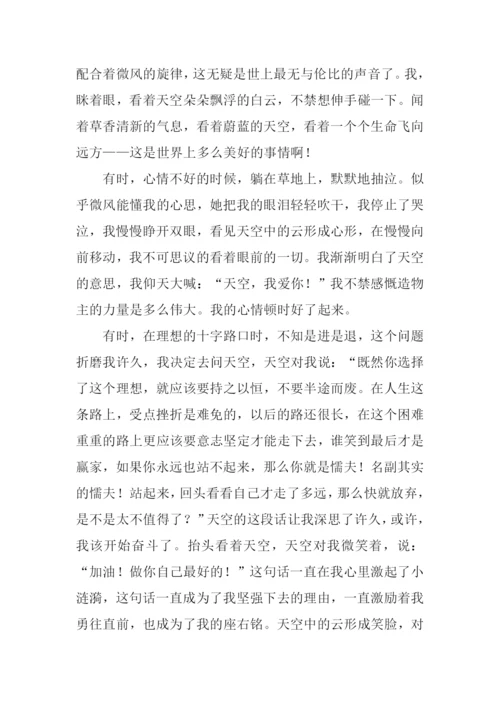 不一样的风景作文.docx