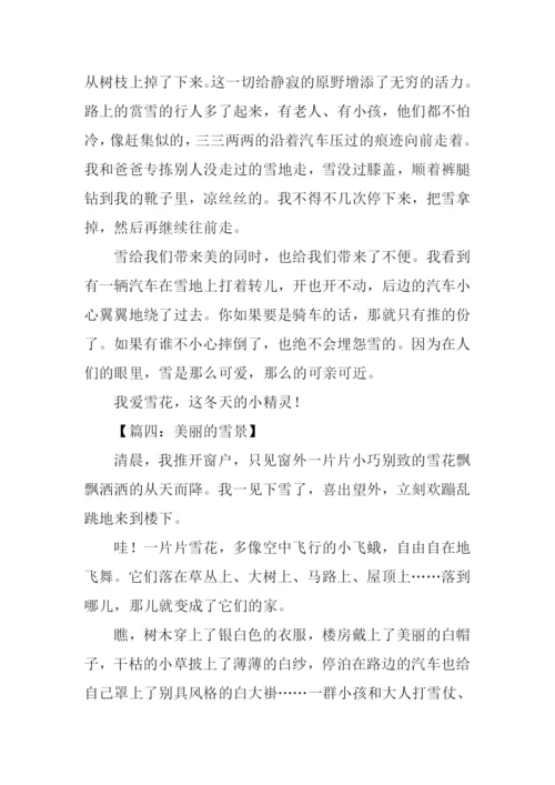 美丽的雪景作文500字.docx