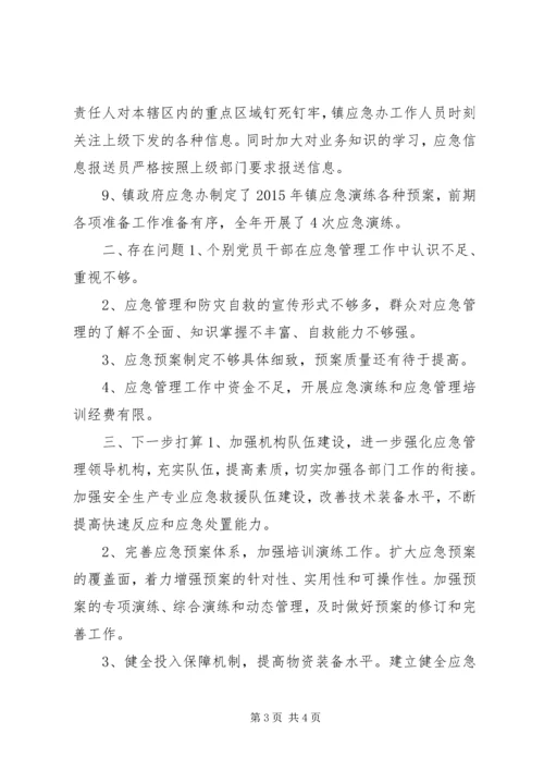 乡镇年度安全应急管理工作总结.docx