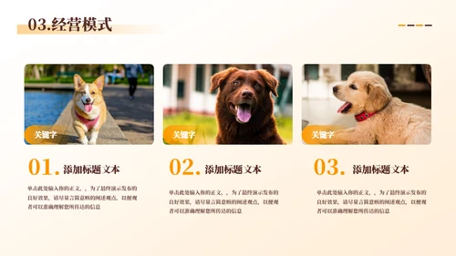 宠物代养宠物寄存商业计划书模板