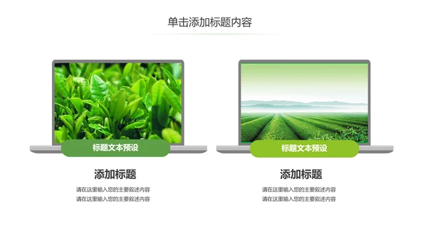 茶文化茶叶绿茶产品介绍动态PPT模板