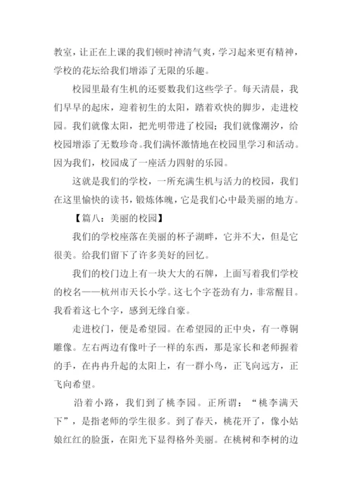 关于校园的作文-2.docx