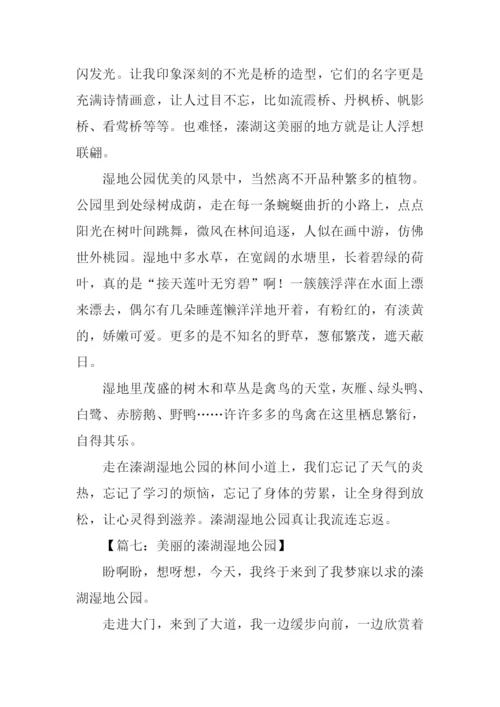 关于溱湖的作文.docx