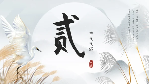 白露白鹤通用PPT模板
