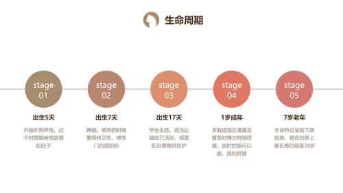 商务风棕色清新宠物养护手册