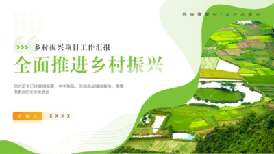 全面推进乡村振兴，田间经济通用PPT模板