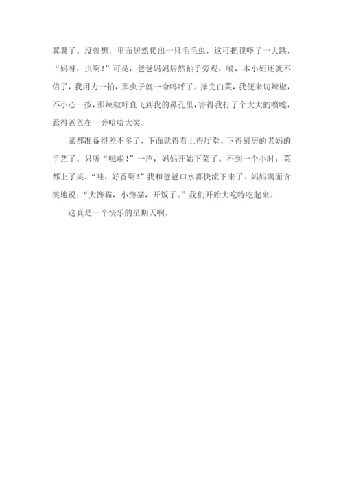 五年级快乐的星期天作文.docx