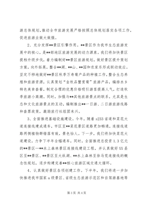 市旅游局上半年工作总结和下半年工作计划 (10).docx