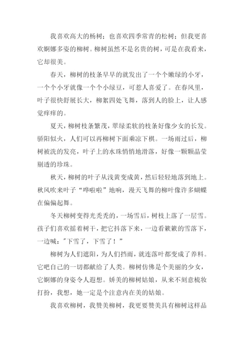 描写柳树作文.docx