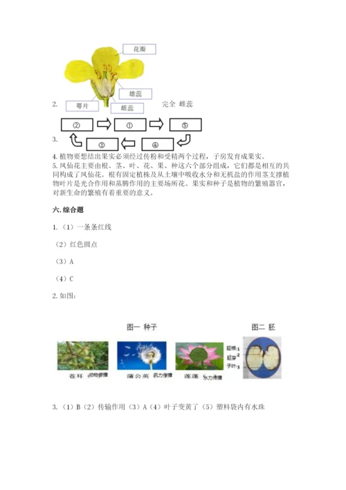 科学四年级下册第一单元《植物的生长变化》测试卷附完整答案（易错题）.docx