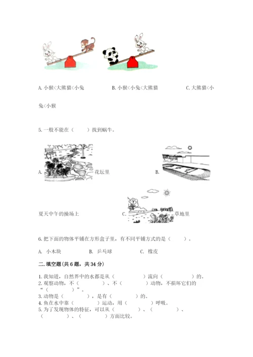 教科版一年级下册科学期末测试卷精品【基础题】.docx