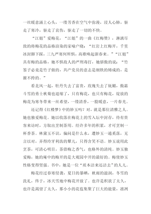 梅花的作文600字.docx