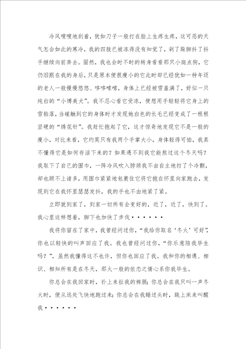 名家经典哲理散文500字初三抒情哲理散文,冬火