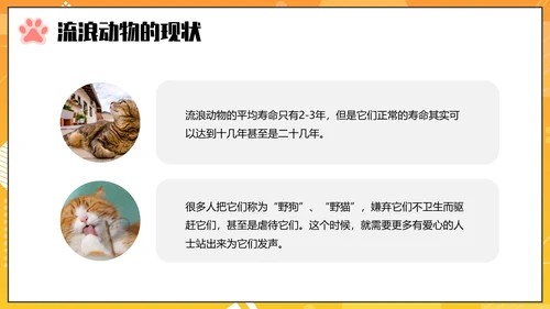 关爱流浪动物PPT模板