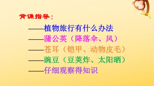 3 植物妈妈有办法  课件
