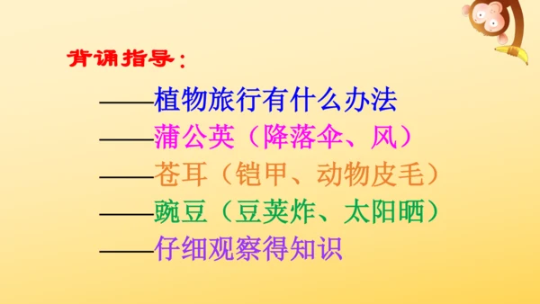 3 植物妈妈有办法  课件