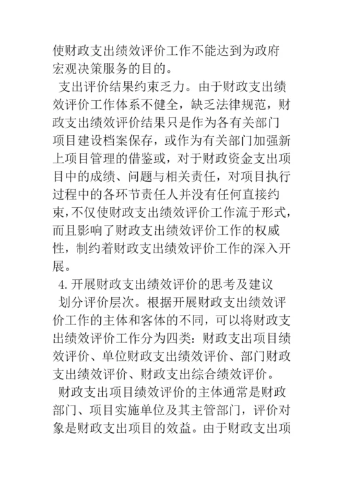 浅谈政府财政支出绩效评价.docx