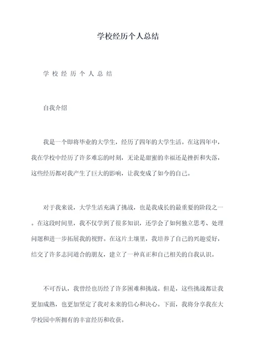 学校经历个人总结