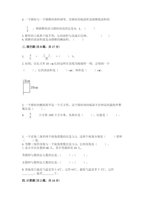 重庆市南川市六年级下册数学期末测试卷完美版.docx