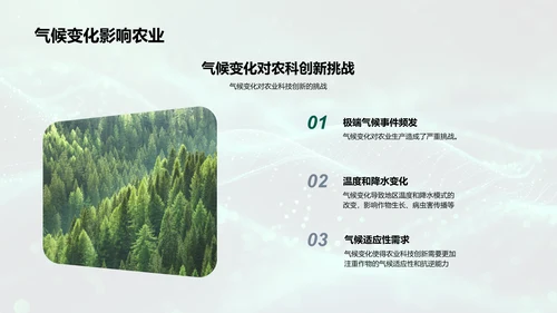 农业科研述职报告PPT模板