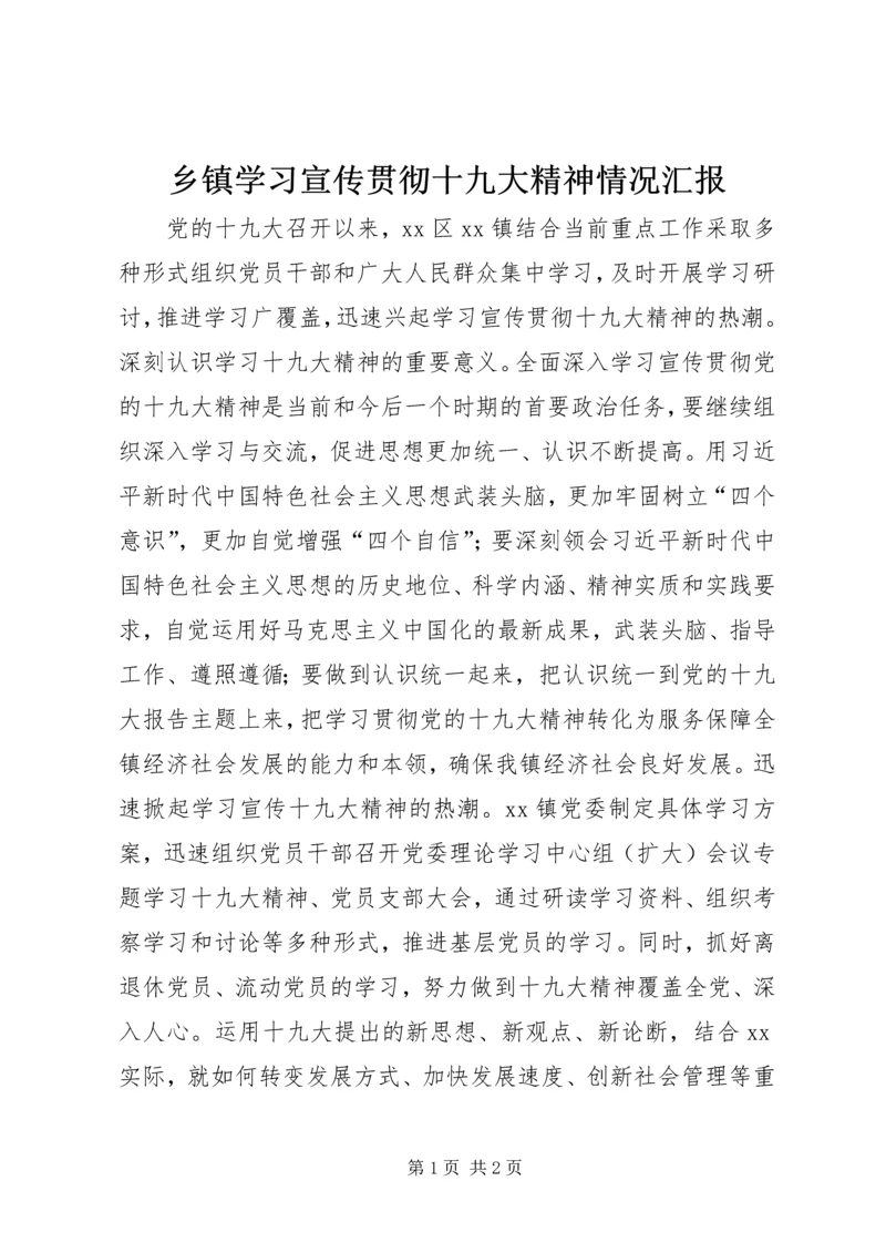 乡镇学习宣传贯彻十九大精神情况汇报.docx