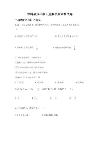 铁岭县六年级下册数学期末测试卷（典型题）.docx