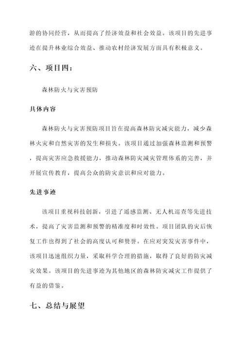 林业局项目先进事迹