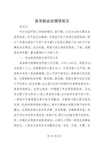 县冬防会议领导发言.docx