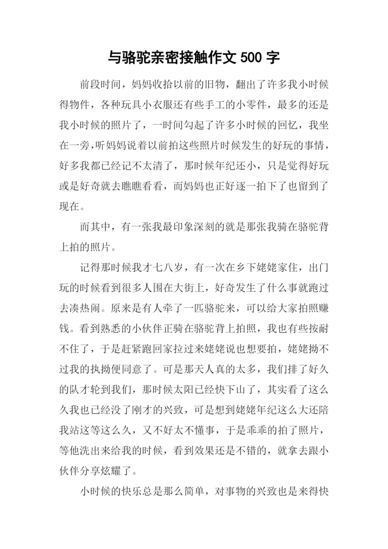 与骆驼亲密接触作文500字.docx