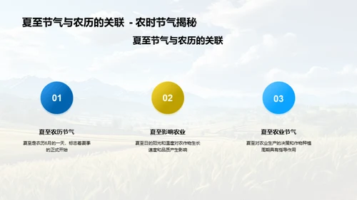 夏至影响下的农业