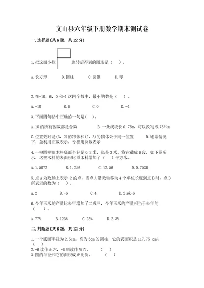 文山县六年级下册数学期末测试卷最新