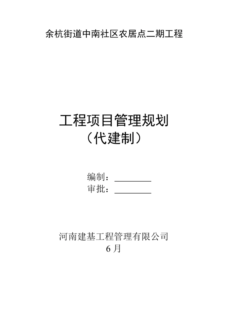 关键工程代建工作专题方案.docx