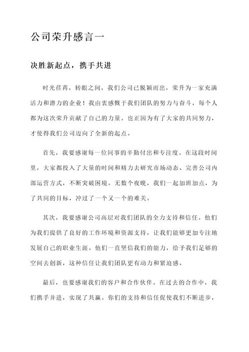 公司荣升感言