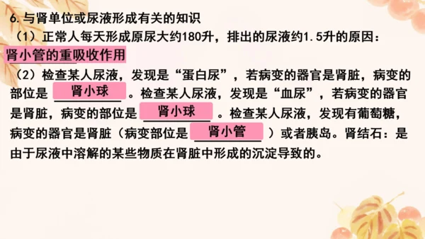第四单元第五、六章复习课件(共33张PPT)人教版七年级下册