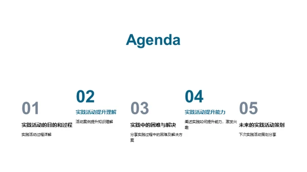 实践力量：初三活动见证